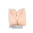 Vagina Lucys Box