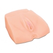 VAGINA Y ANO FULL SIZE FRONT ENTRY