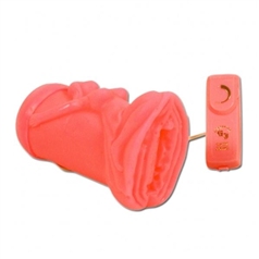 VIRGIN VIBRATOR