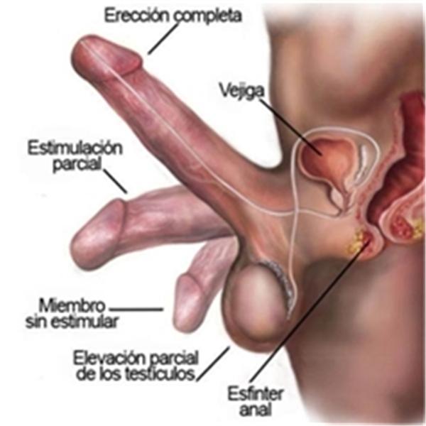 SEXY,FREAKY AND HORNY
